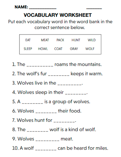 sample blank vocabulary worksheet template