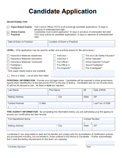 sample candidate application blank template