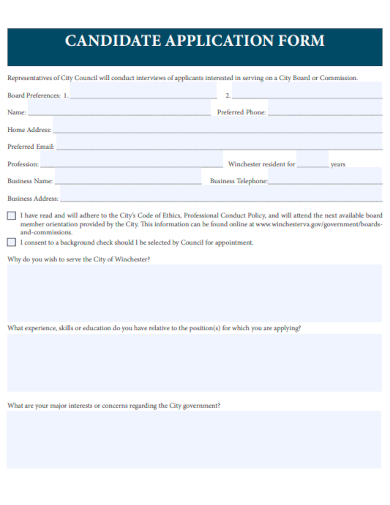 sample candidate application form template