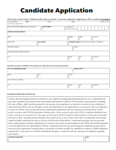 sample candidate application standard template