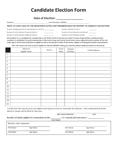 sample candidate election form template
