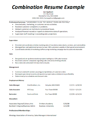 sample combination resume example template