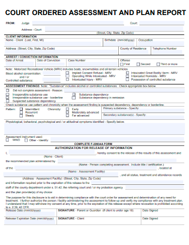 sample court ordered assessment and plan report template