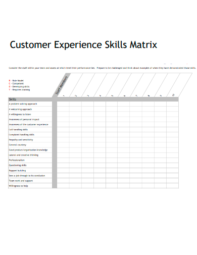 sample customer experience skills matrix template