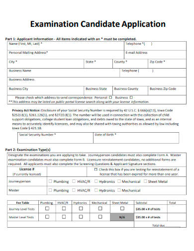 sample examination candidate application template