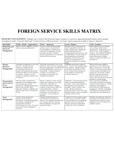 sample foreign service skills matrix template