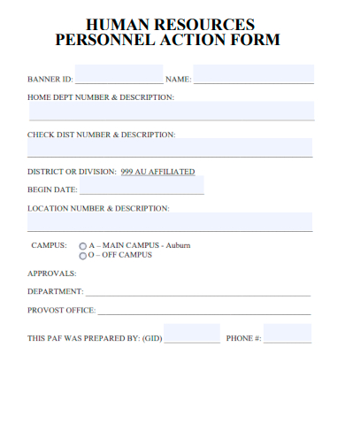 sample hr personnel action form template