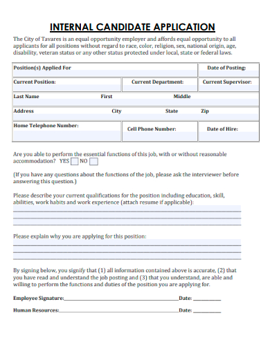 sample internal candidate application template