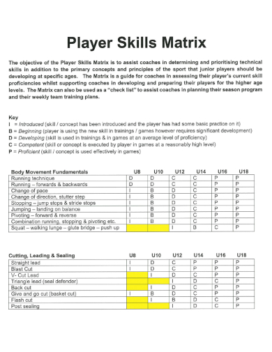 sample player skills matrix template