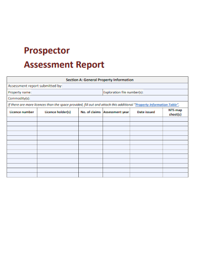 sample prospector assessment report template