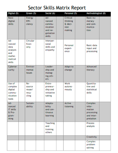 sample sector skills matrix report template