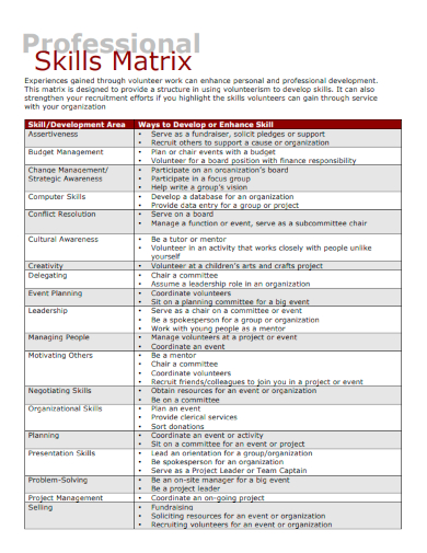 sample skills matrix professional template
