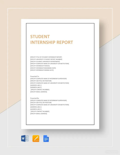 sample student internship report template