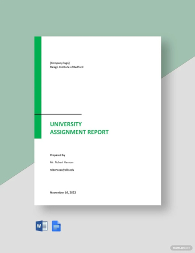 sample university assignment report template
