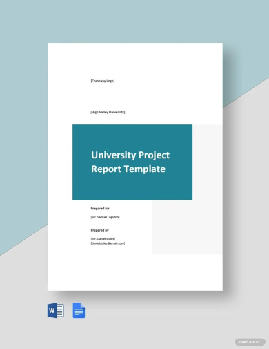 sample university project report template
