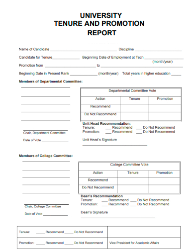 sample university tenure promotion report template