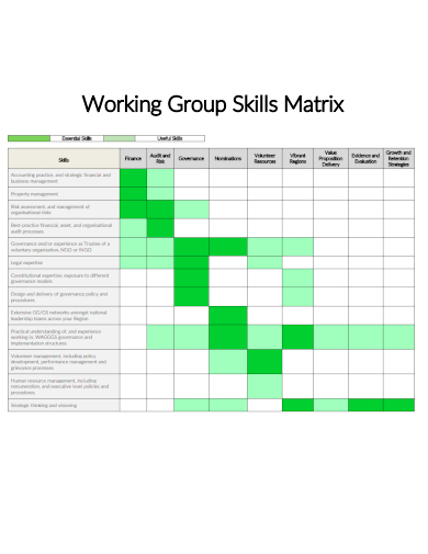 sample working group skills matrix template