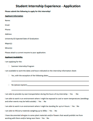 student internship experience application template