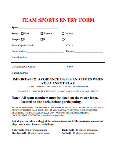 team sports entry form template