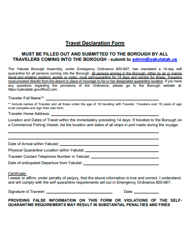 travel declaration form template