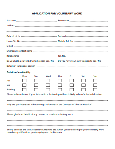voluntary work application template