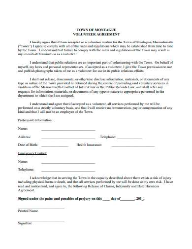 volunteer agreement in pdf