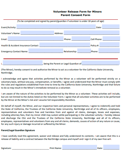 volunteer release form for minors template