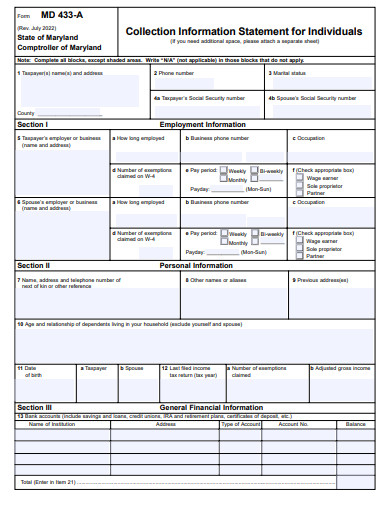 collection information statement for individuals template