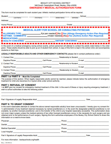 emergency medical authorization form template