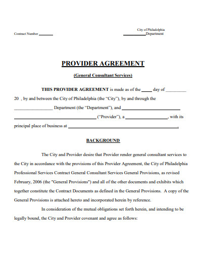 formal provider agreement template