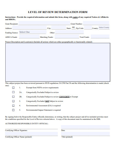 level of review determination form template