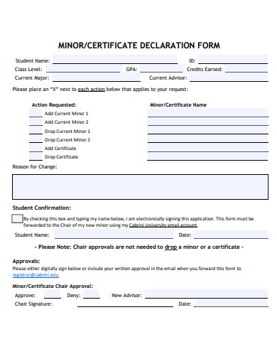 minor certificate declaration form template