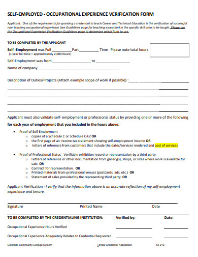 occupational experience verification form template