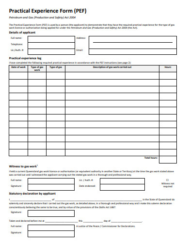 practical experience form template
