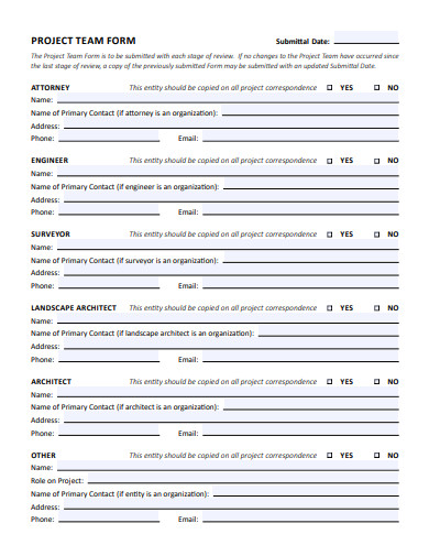 project team form template
