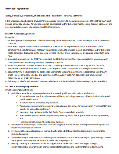 provider agreement in pdf