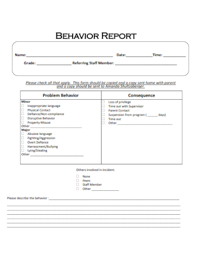 sample behavior report standard template