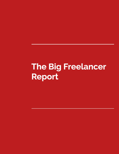 sample big freelancer report template