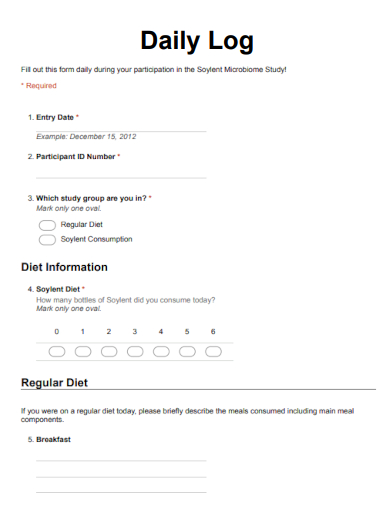 sample daily log form template
