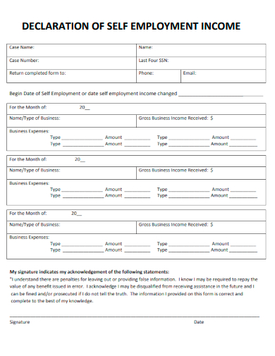 sample declaration of self employment income template