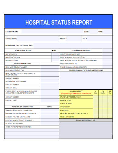 sample hospital status report template