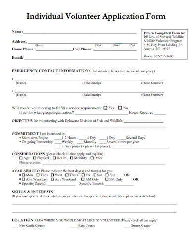 sample individual volunteer application form template