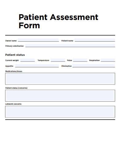sample patient assessment form formal template