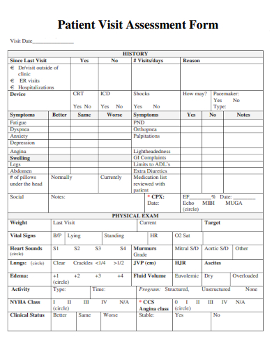 sample patient visit assessment form template