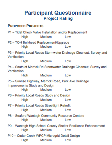 sample project rating participant questionnaire template