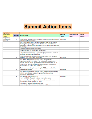sample summit action items template