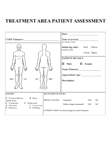 sample treatment area patient assessment form template
