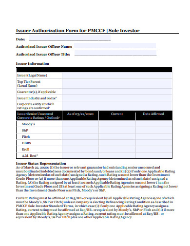 sole investor issuer authorization form template