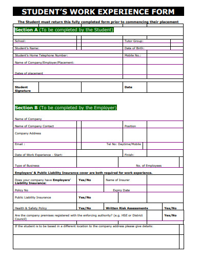 students work experience form template