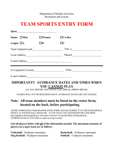 team sports entry form template